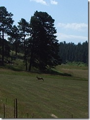 Vallie Bridge to Pueblo, CO 015